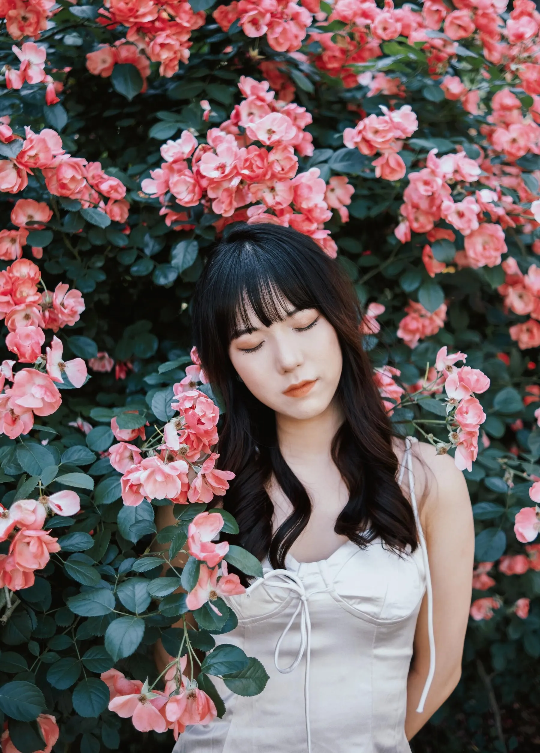 [艺图语] 2022.06.10 蔷薇花下 依依 [25P]插图7